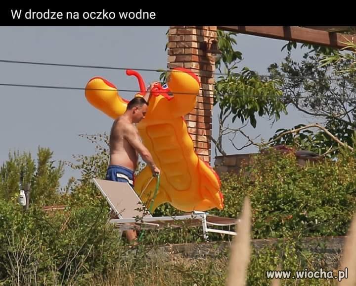 W drodze na oczko wodne 