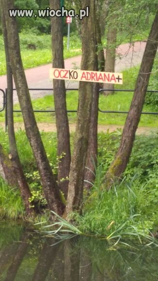 Jest!