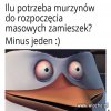 Coś na 