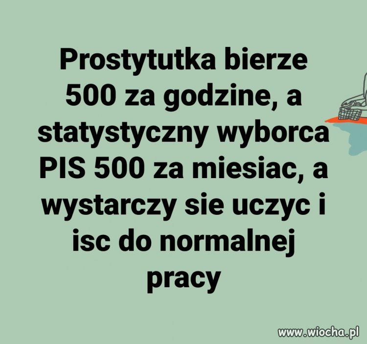 Fajny ten wyborca