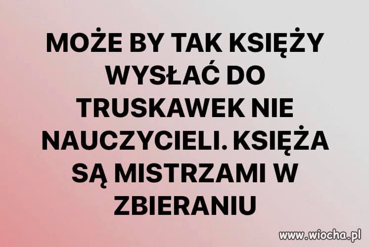 Mistrzowie zbierania 