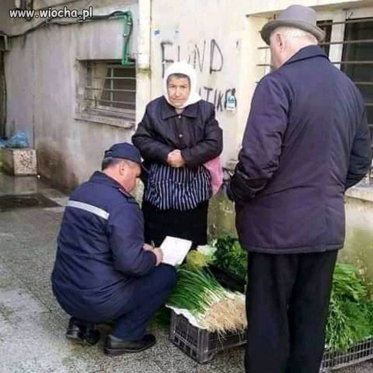 Trwa walka z mafią VATowską 