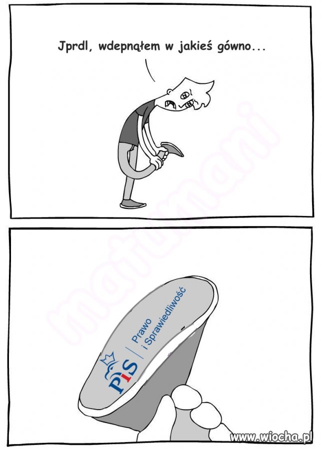 Gdy gówno śmierdzi, 