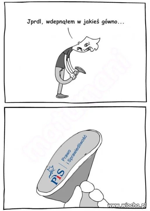 Gdy gówno śmierdzi, 