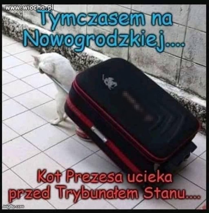 Tymczasem na 