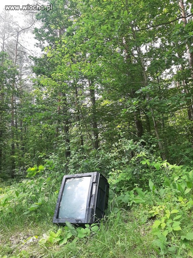 Kampania wyborcza