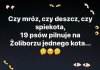 Wesola Polska PiSu...