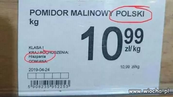 Pomidor