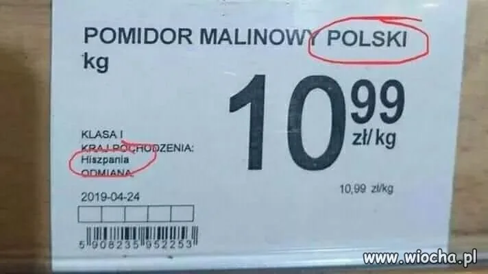 Pomidor