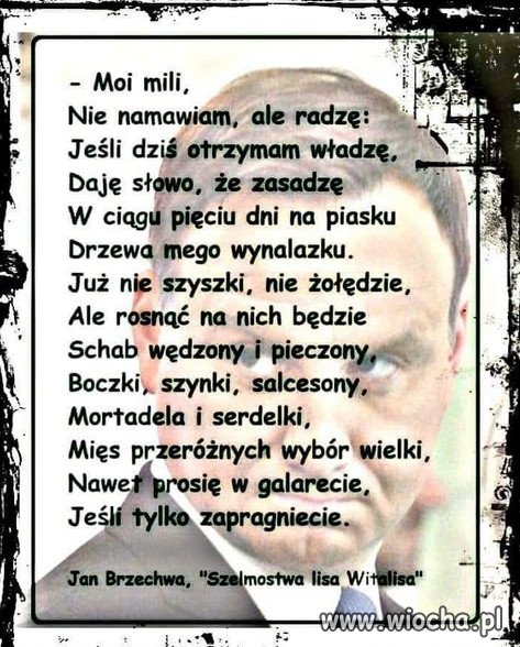 Przed wyborcze obiecanki cacanki PiSu...