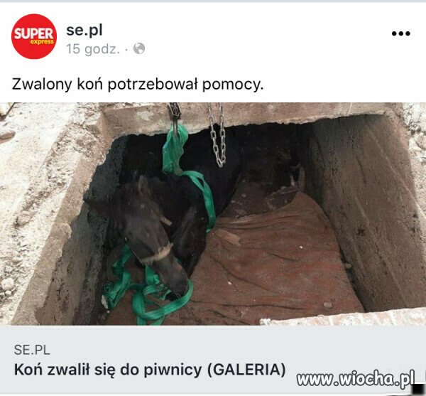 Pomysł na chwytliwy nagłówek 