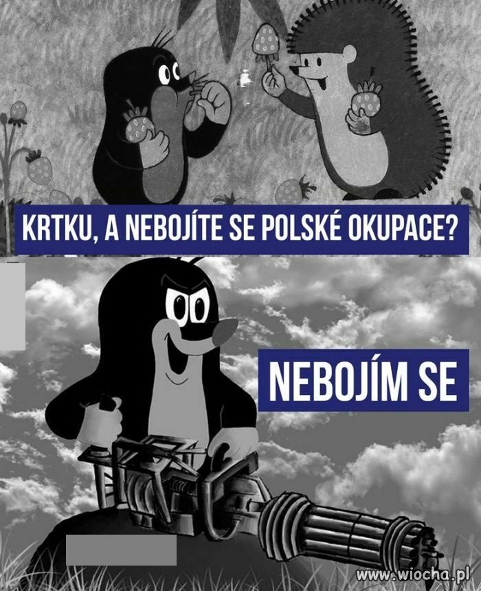 Czesi się nie boją