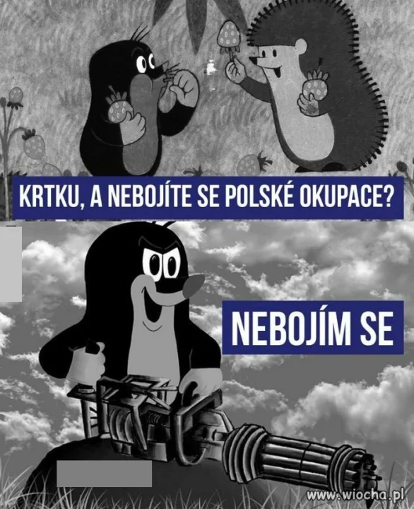 Czesi się nie boją