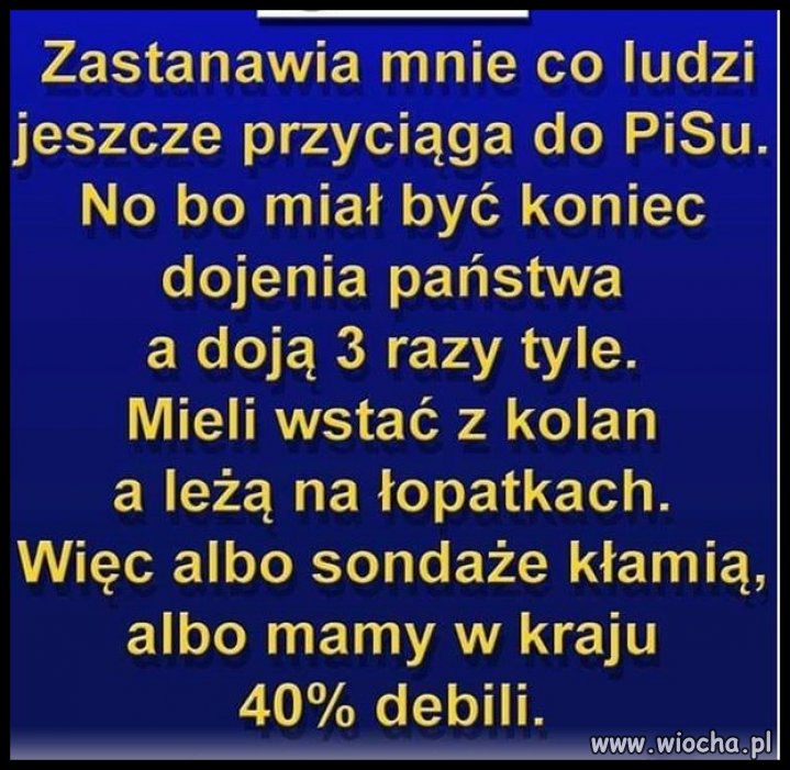 30% to stały elektorat
