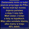 30% to stały elektorat