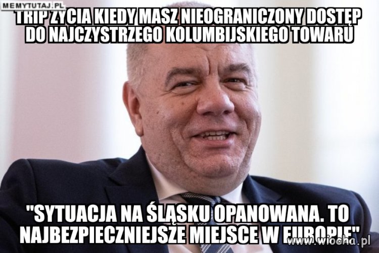 Odlot sasina