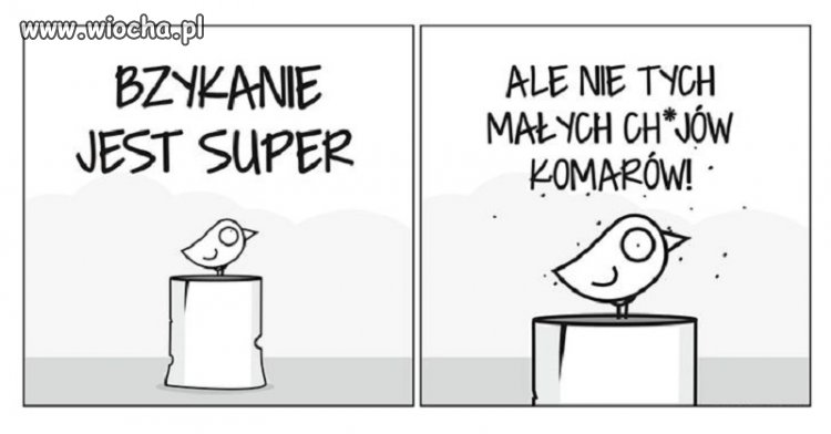 No właśnie 