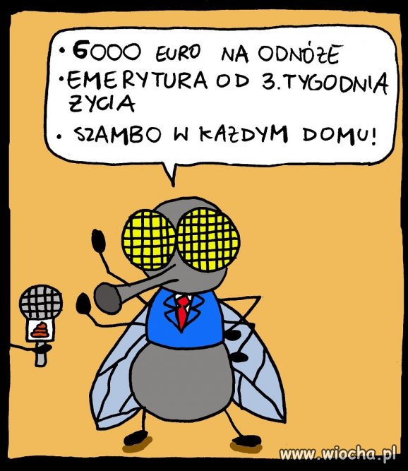 Ciekawe propozycje