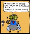 Ciekawe propozycje