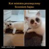 Nie ma