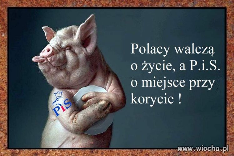 Walka trwa 