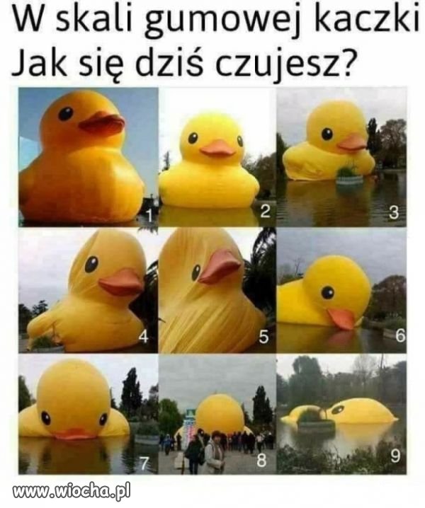 Coś dla zwolenników pewnej partii