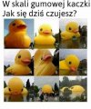 Coś dla zwolenników pewnej partii