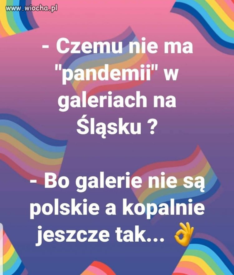 Galerie nie zapowiadają palenia opon w Warszawie
