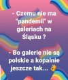 Galerie nie zapowiadają palenia opon w Warszawie
