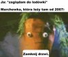 Lodówka.