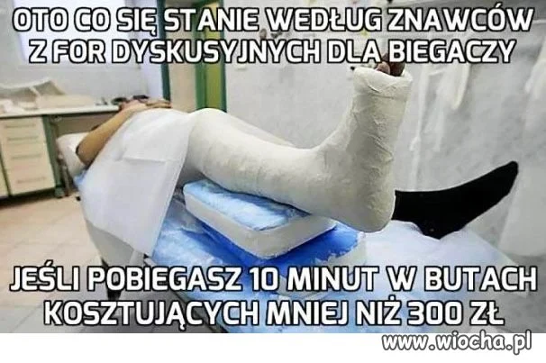 Znawcy
