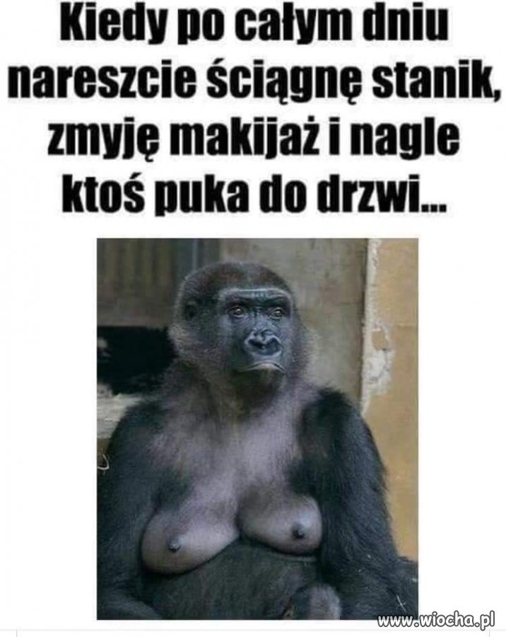 Kobiety
