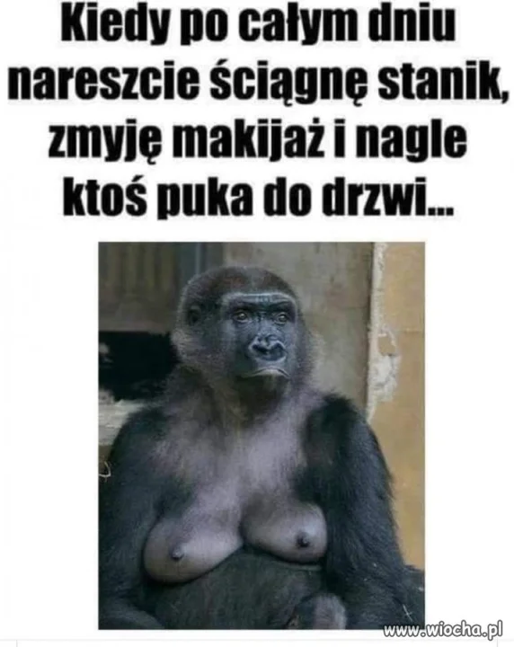 Kobiety