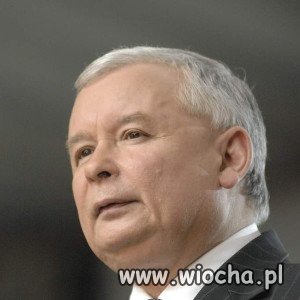 Jestem prezesem zorganizowanej grupy przestępczej-