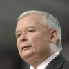 Jestem prezesem zorganizowanej grupy przestępczej-