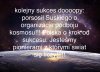 Kolejny sukces rzadu!