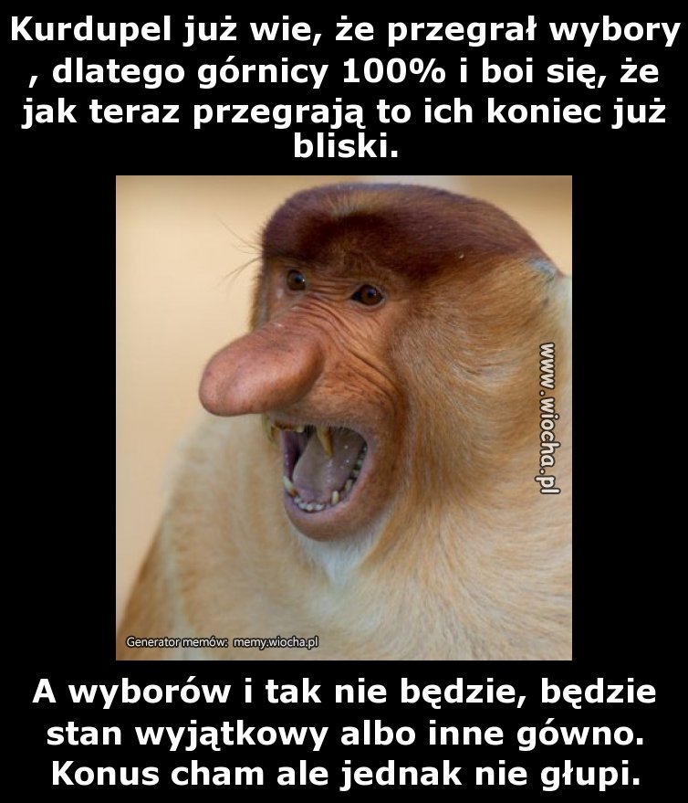 Kurdupel już wie, że przegrał wybory, dlatego
