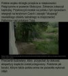 Z kraju i ze świata