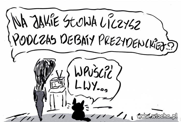 Tytuł zbędny