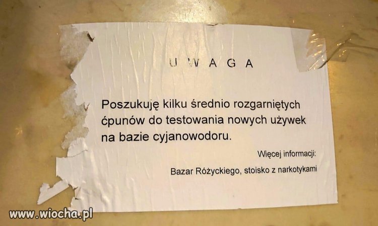 Wolny kraj