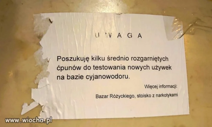 Wolny kraj