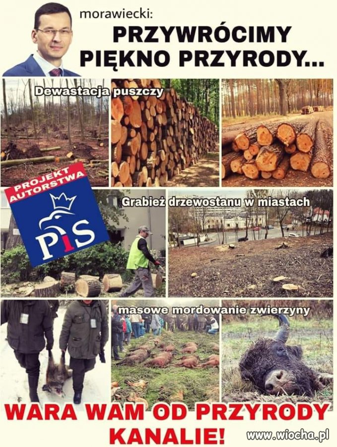 Pojedyncze przypadki tak nie szokują