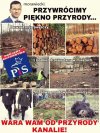 Pojedyncze przypadki tak nie szokują