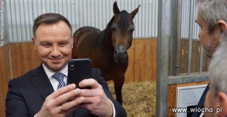 Dobra Trzaskowski kończ, wstydu oszczędź.