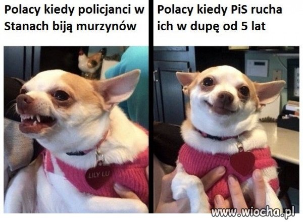 Polaczki