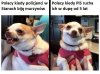 Polaczki