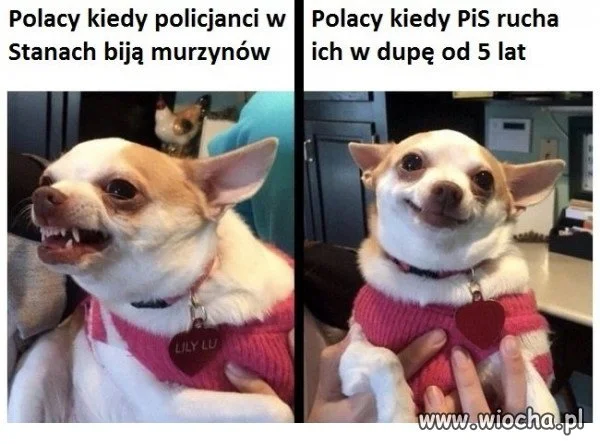 Polaczki