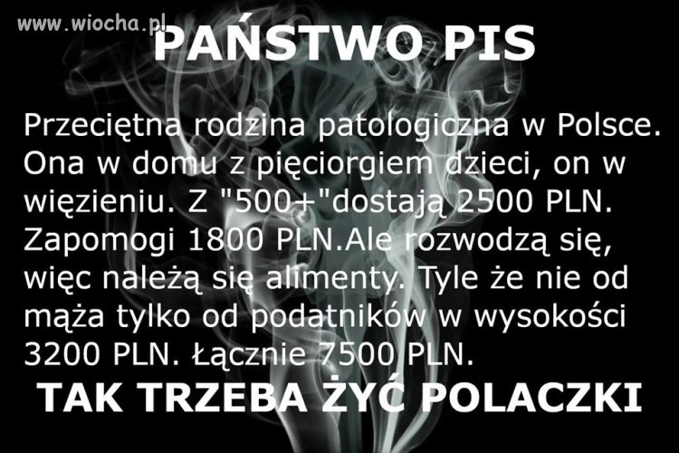 Typowy wyborca Pis-u