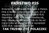 Typowy wyborca Pis-u