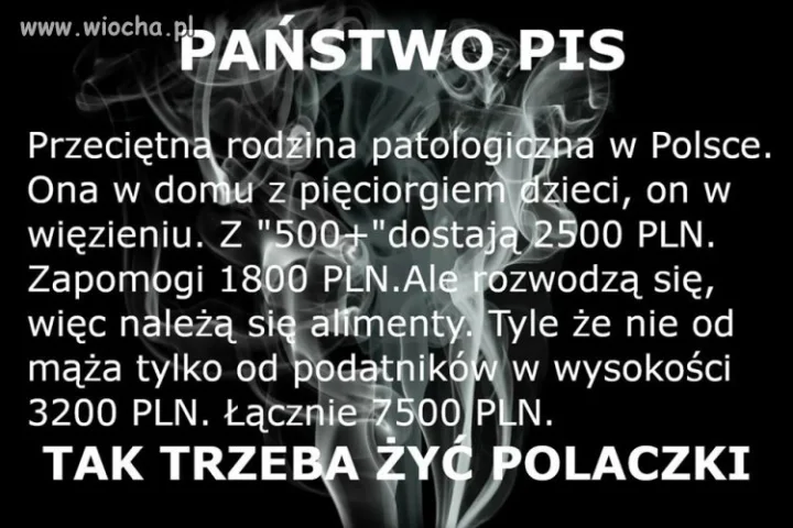 Typowy wyborca Pis-u